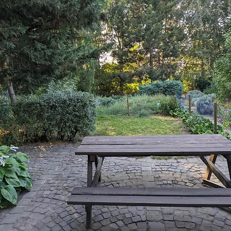 Little Bear Apartment Mogyoród Kültér fotó