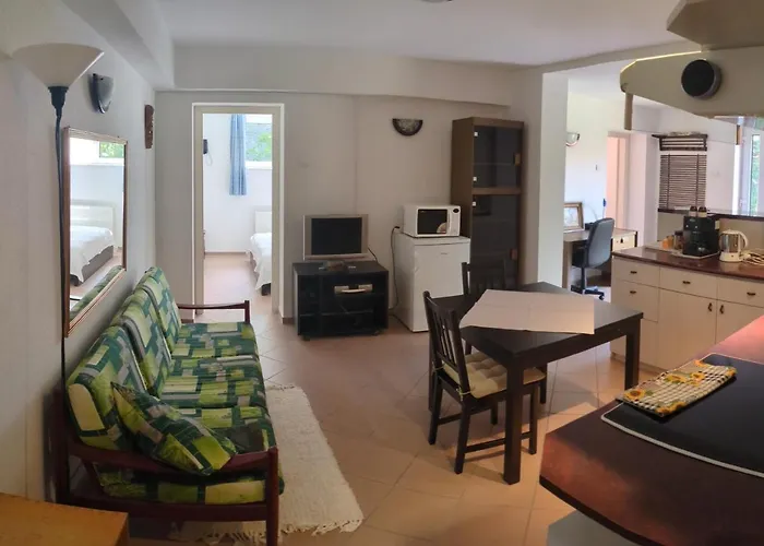 Little Bear Apartment